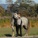 Herbst 2011