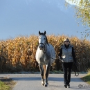 Herbst 2011