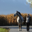 Herbst 2011