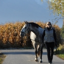 Herbst 2011