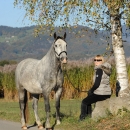 Herbst 2011