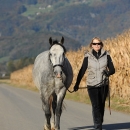 Herbst 2011