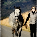 Herbst 2011