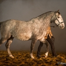 Nebelfotoshooting 2011
