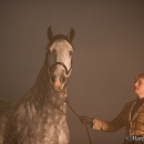 Nebelfotoshooting 2011