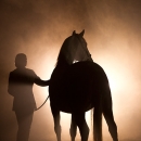 Nebelfotoshooting 2011