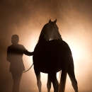Nebelfotoshooting 2011