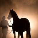Nebelfotoshooting 2011