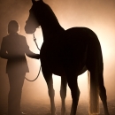 Nebelfotoshooting 2011