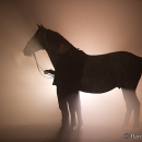 Nebelfotoshooting 2011