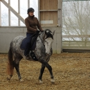 Barockes Reiten mit Richard Hinrichs - Feb. 2012