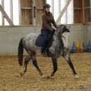 Barockes Reiten mit Richard Hinrichs - Feb. 2012