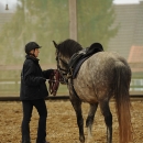 Barockes Reiten mit Richard Hinrichs - Feb. 2012