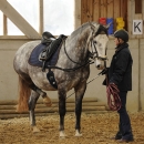 Barockes Reiten mit Richard Hinrichs - Feb. 2012