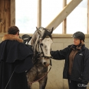 Barockes Reiten mit Richard Hinrichs - Feb. 2012