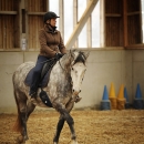 Barockes Reiten mit Richard Hinrichs - Feb. 2012