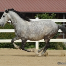 M.Alea .. wie er halt ist :-)