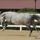 M.Alea .. wie er halt ist :-)