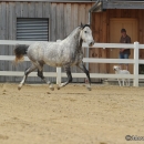 M.Alea .. wie er halt ist :-)