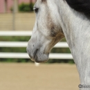 M.Alea .. wie er halt ist :-)