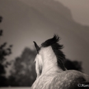 M.Alea .. wie er halt ist :-)