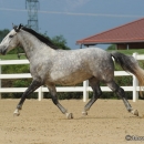 M.Alea .. wie er halt ist :-)