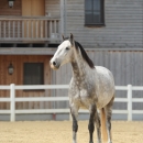 M.Alea .. wie er halt ist :-)