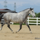 M.Alea .. wie er halt ist :-)