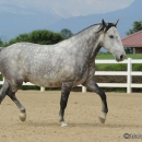 M.Alea .. wie er halt ist :-)