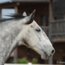 M.Alea .. wie er halt ist :-)