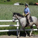 Reitkurs mit Desmond O’Brien - 2012