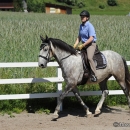 Reitkurs mit Desmond O’Brien - 2012