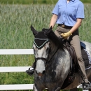 Reitkurs mit Desmond O’Brien - 2012