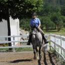 Reitkurs mit Desmond O’Brien - 2012