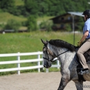 Reitkurs mit Desmond O’Brien - 2012