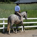 Reitkurs mit Desmond O’Brien - 2012