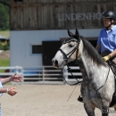 Reitkurs mit Desmond O’Brien - 2012