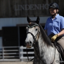 Reitkurs mit Desmond O’Brien - 2012