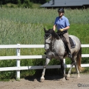 Reitkurs mit Desmond O’Brien - 2012