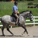 Reitkurs mit Desmond O’Brien - 2012
