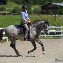Reitkurs mit Desmond O’Brien - 2012
