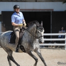 Reitkurs mit Desmond O’Brien - 2012
