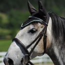 Reitkurs mit Desmond O’Brien - 2012