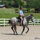 Reitkurs mit Desmond O’Brien - 2012