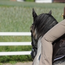 Reitkurs mit Desmond O’Brien - 2012