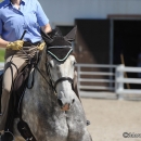 Reitkurs mit Desmond O’Brien - 2012