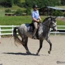 Reitkurs mit Desmond O’Brien - 2012