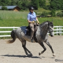 Reitkurs mit Desmond O’Brien - 2012