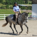 Reitkurs mit Desmond O’Brien - 2012
