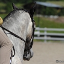 Reitkurs mit Desmond O’Brien - 2012